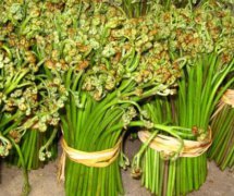 蕨菜的營養(yǎng)價(jià)值有哪些？
