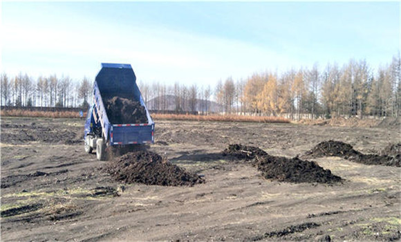 棉花田間管理技術(shù)要點(diǎn)、管理內(nèi)容及具體措施