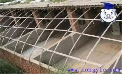 建豬舍應注意哪些問題，如何做好豬舍消毒工作