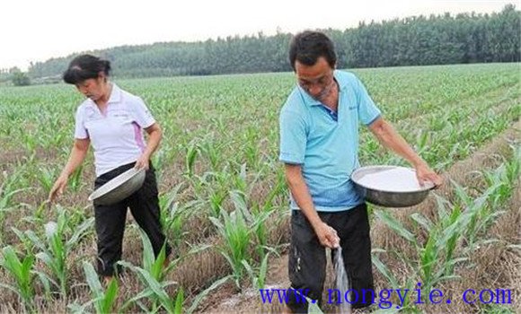 氮、磷、鉀肥配合施用