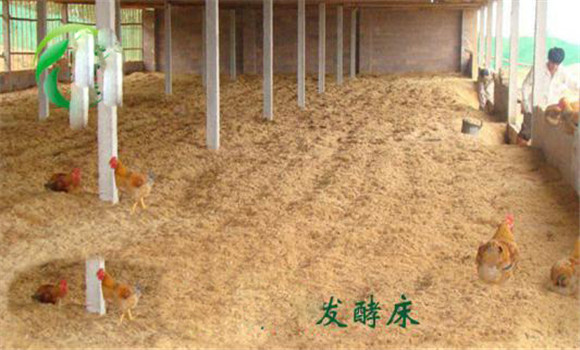 提升空氣質(zhì)量，減輕呼吸道炎癥等疾病