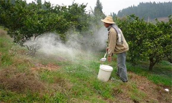 防好病蟲(chóng)，保護(hù)葉片