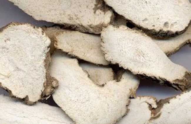 白芷的功效與副作用 白芷的功效與作用