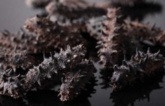 如何選購干海參？干海參的發(fā)泡方法