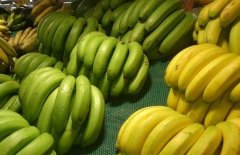 吃香蕉有哪些禁忌？