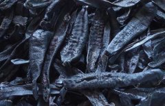 什么是清水貨水蛭，什么是礬水貨水蛭？