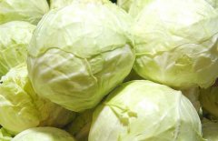 卷心菜能減肥嗎？