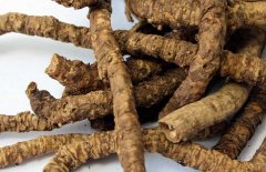 黃連、黃芩、黃柏的區(qū)別