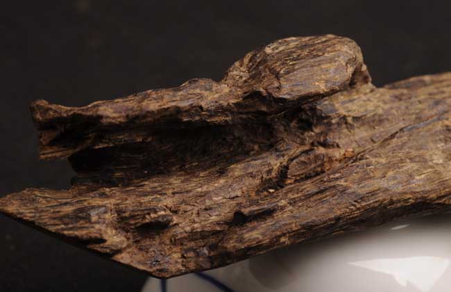 沉香的養(yǎng)殖方法-沉香圖片 沉香怎么養(yǎng)