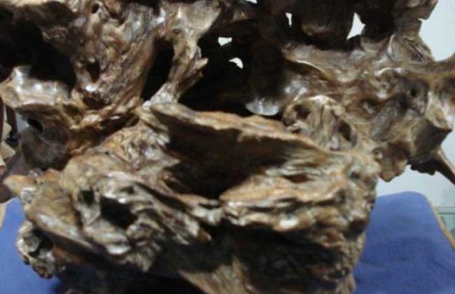 沉香與檀香的區(qū)別 沉香種植方法