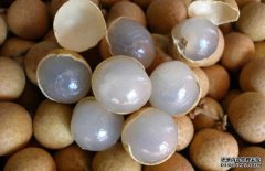 龍眼和什么不能一起吃