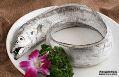 帶魚(yú)的產(chǎn)地、分布生活習(xí)性與品種分類(lèi)