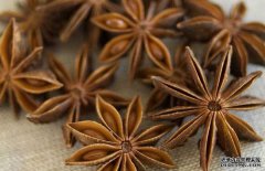 八角的市場價格，八角的選購方法與食用方法
