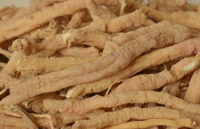 遠(yuǎn)志的產(chǎn)地分布 遠(yuǎn)志的產(chǎn)地分布