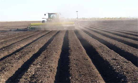 細致整地、起壟