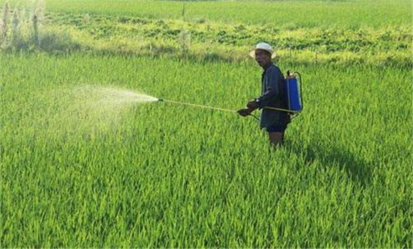 改善施用方法，減少土壤殘留量