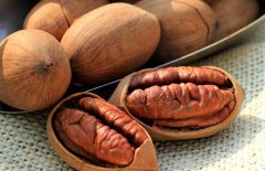 碧根果怎么挑選？碧根果的選購指南