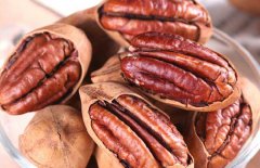 碧根果產地是哪里？碧根果的選購方法簡介