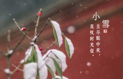 小雪節(jié)氣是什么意思，小雪節(jié)氣吃什么食品？