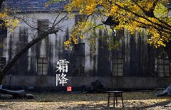 寒露是什么意思，寒露的氣候特征有哪些？