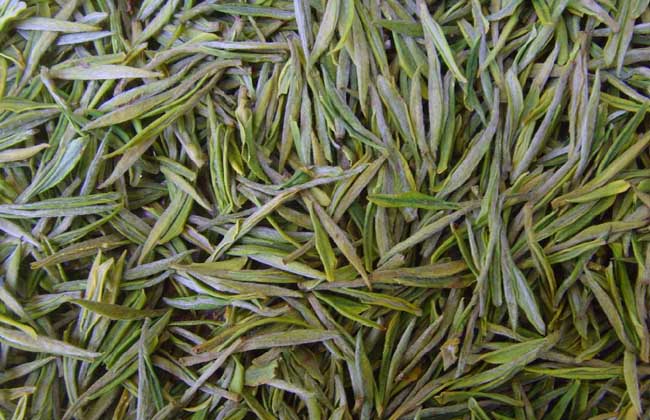 白茶產(chǎn)地在哪里? 生活常識(shí)