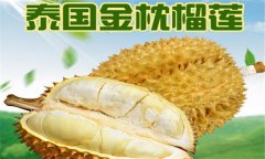 榴蓮品種介紹 常見(jiàn)的榴蓮品種有哪些？