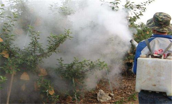 噴藥濃度不宜盲目偏高