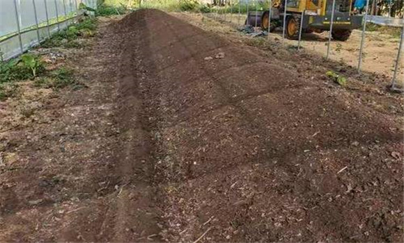 基、追肥分配比例要合理