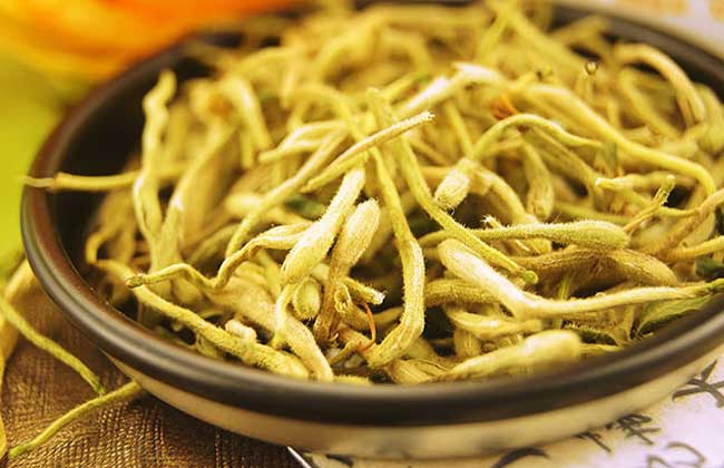 花茶的搭配功效大全 生活常識