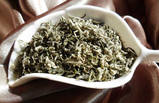 毛尖產(chǎn)地是哪里? 生活常識