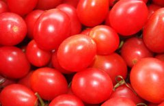 孕婦可以吃圣女果嗎？