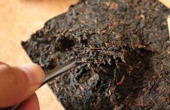 喝普洱茶能減肥嗎？