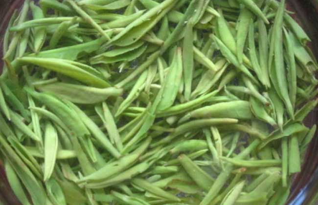 喝信陽毛尖有什么好處 生活常識