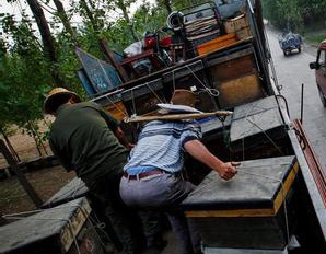 養(yǎng)蜂搬家如何避免損失