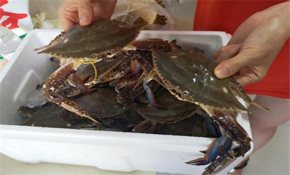 螃蟹屬于海鮮嗎？