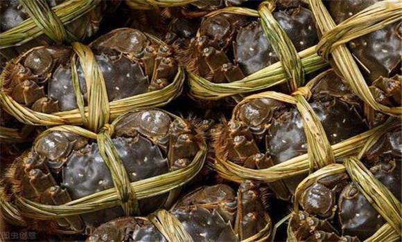 螃蟹買回來怎么保存？