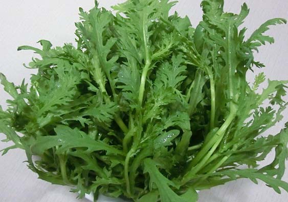 茼蒿的營養(yǎng)價值