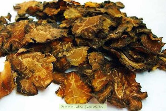 川芎的功效與作用 川芎的藥用功效 川芎的作用