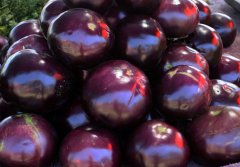 茄子的功效是什么？茄子的功效與作用禁忌