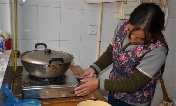 沼氣利用技術(shù)