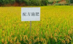 測土配方施肥的意義、作用