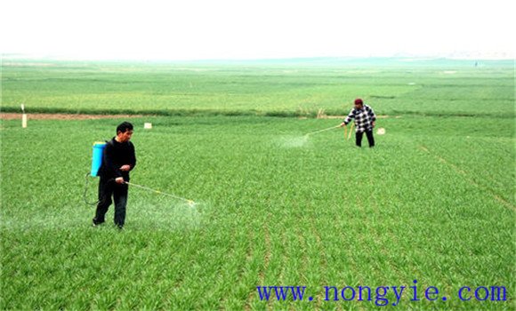 多措并舉，預防倒春寒