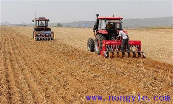 小麥種植技術(shù)與管理、施肥