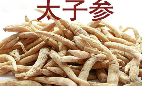 太子參名稱(chēng)的來(lái)由