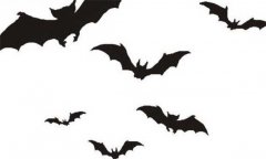 蝙蝠有毒嗎，蝙蝠到底有沒有毒？