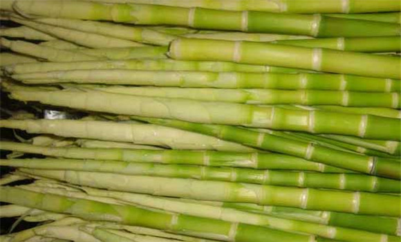 新鮮竹筍怎么剝皮