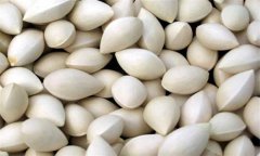 白果的功效與作用及食用方法、禁忌