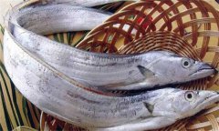 帶魚發(fā)黃能吃嗎？帶魚表面發(fā)黃的原因是什么