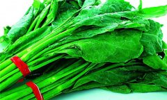 芥藍是什么菜，有哪些營養(yǎng)和功效