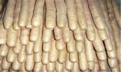 麻山藥保存方法 麻山藥貯藏注意事項(xiàng)及病害預(yù)防